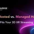 Self-Hosted vs Managed Hosting: Which Fits Your 3D XR Streaming Needs?